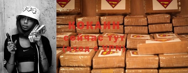 тгк Инсар