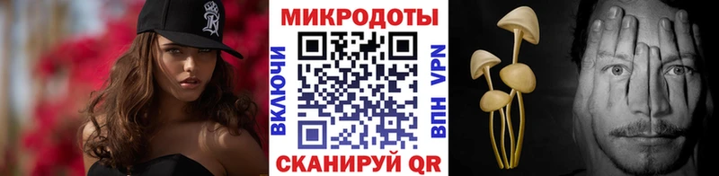 купить наркотики сайты  Приволжский  Галлюциногенные грибы GOLDEN TEACHER 